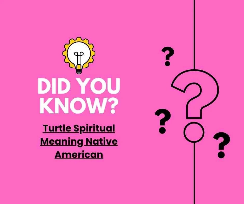 Turtle Spiritual Meaning Native American