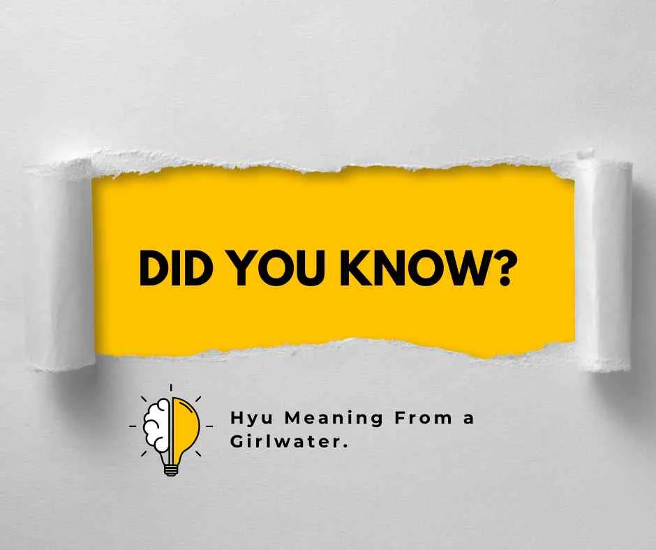 Hyu Meaning From a Girl