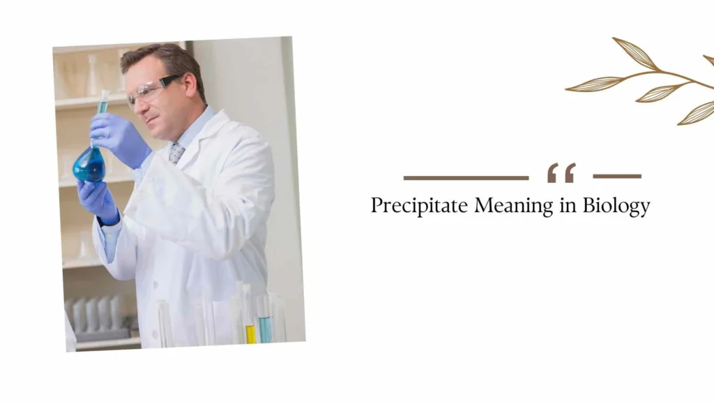 Precipitate Meaning in Biology