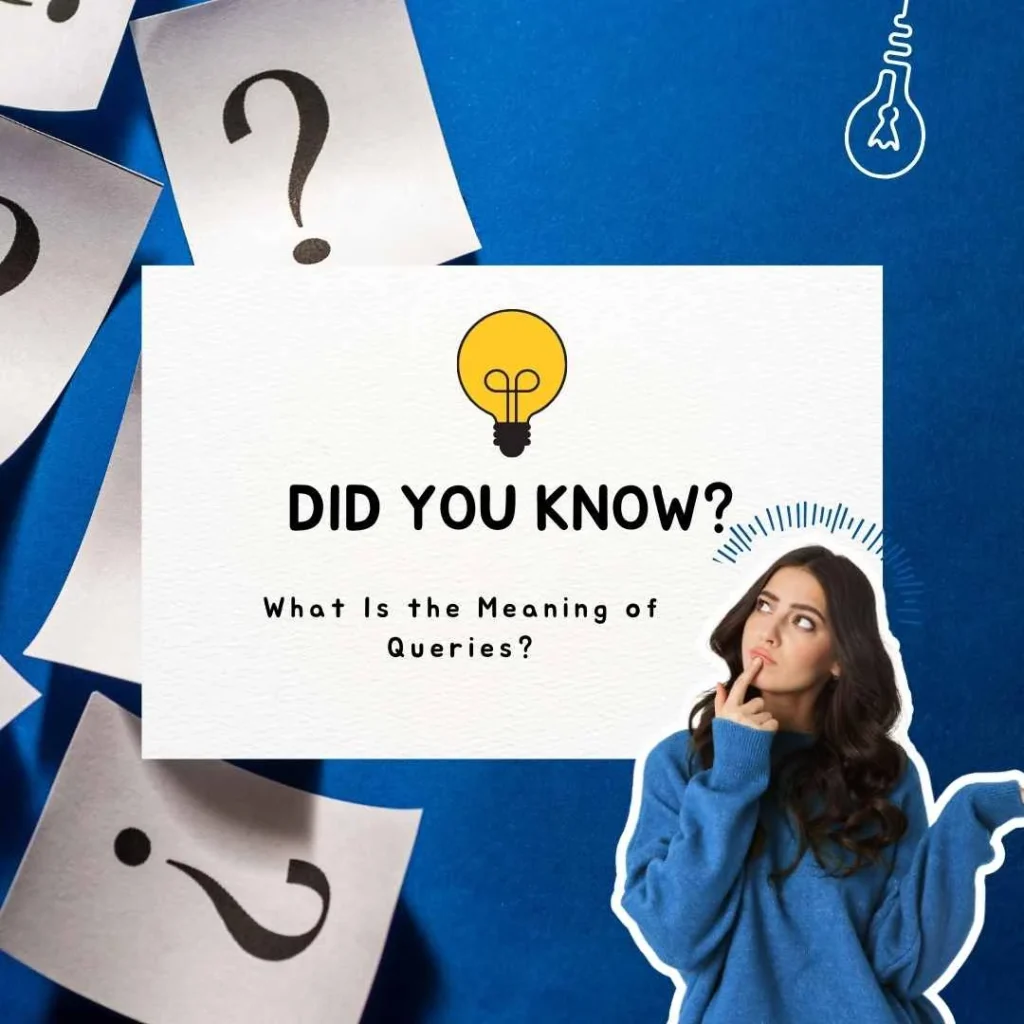 queries-meaning
