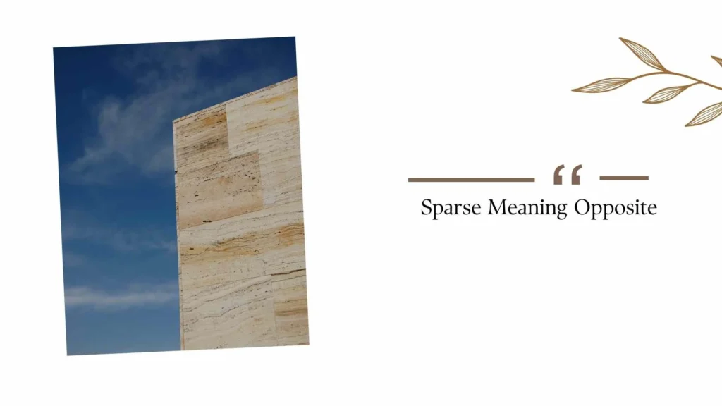 Sparse Meaning Opposite