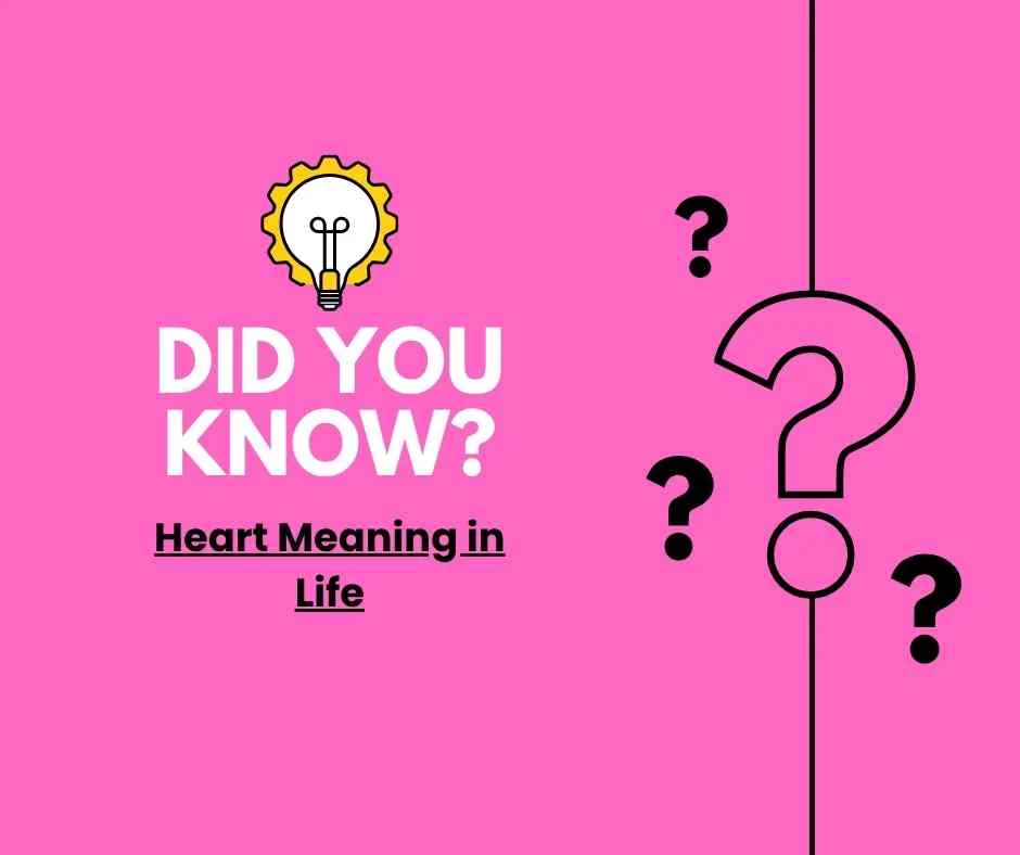 Heart Meaning in Life