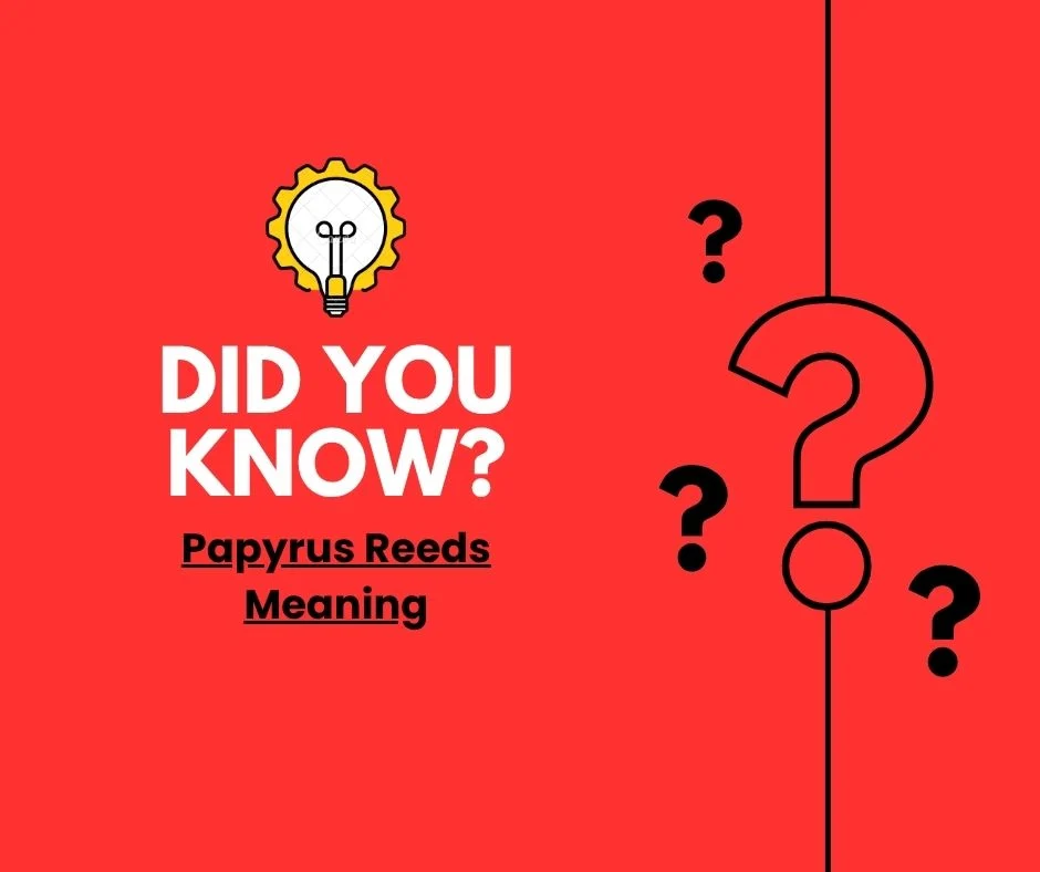 Papyrus Reeds Meaning
