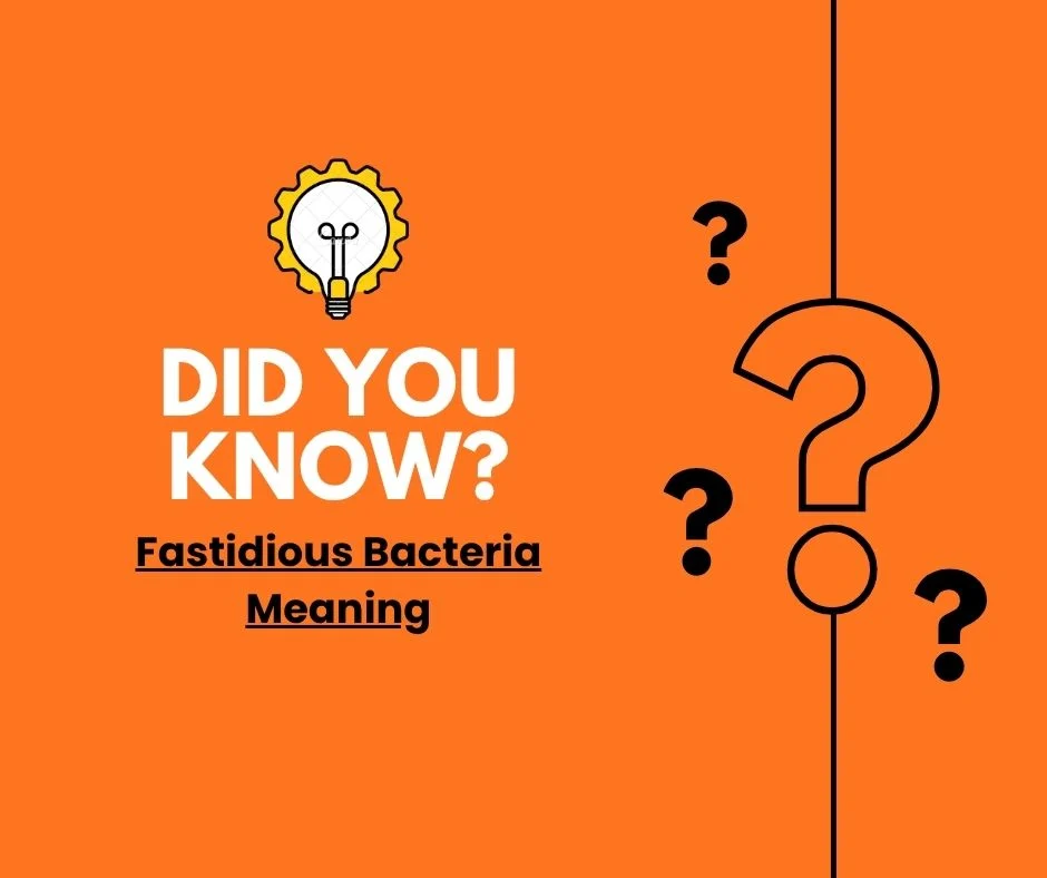 Fastidious Bacteria Meaning