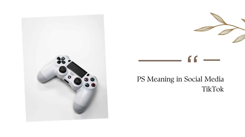 PS Meaning in Social Media TikTok