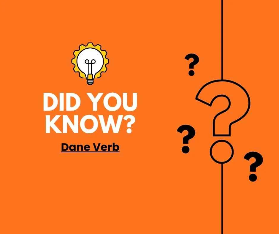 Dane Verb