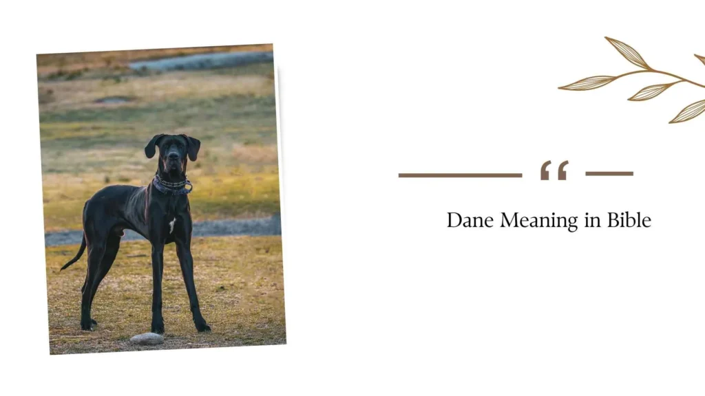 Dane Meaning in Bible