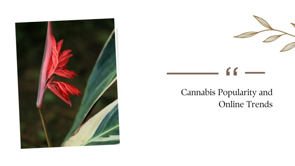 Cannabis Meaning