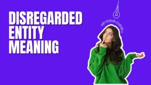 Disregarded Entity Meaning