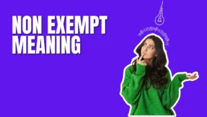 Non Exempt Meaning