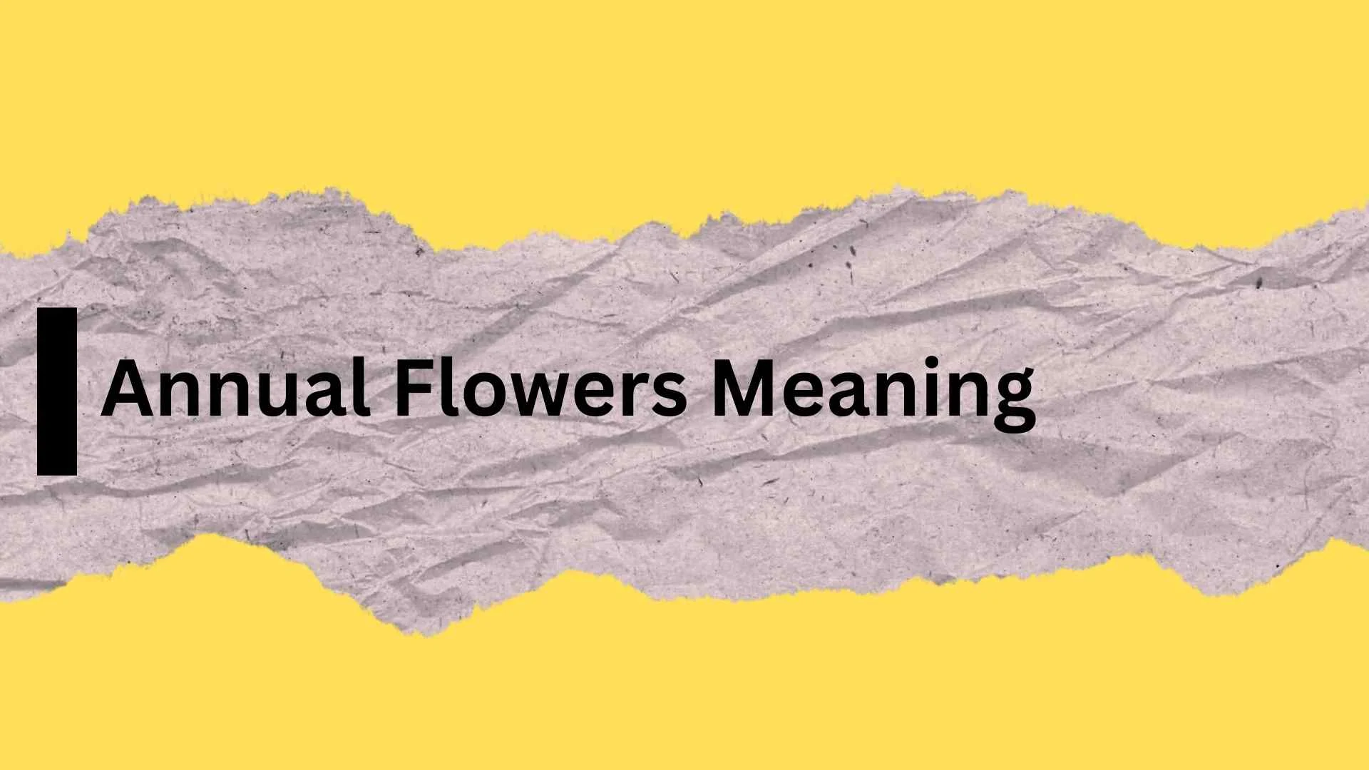 Annual Flowers Meaning