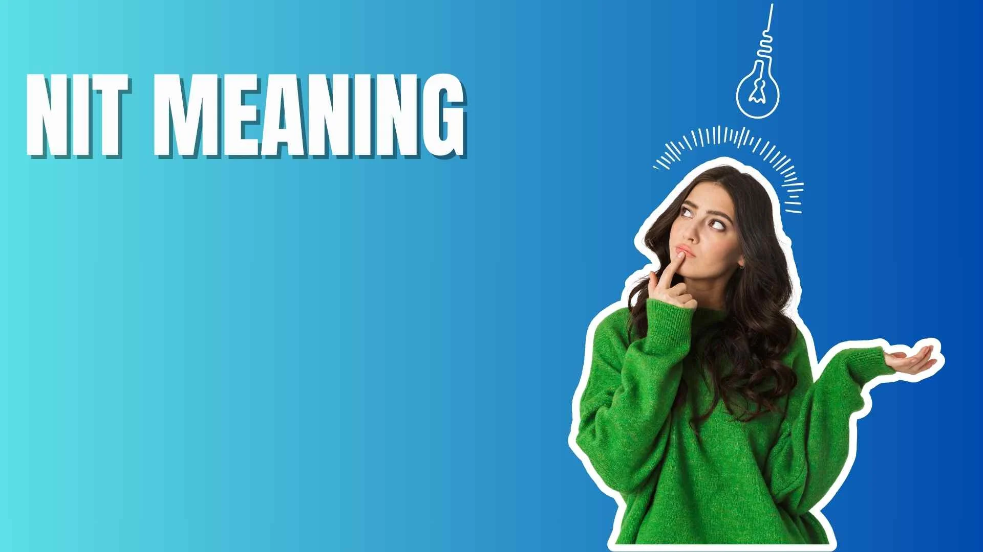 Nit Meaning