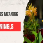 Cannabis Meaning