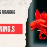 Cannabis Meaning
