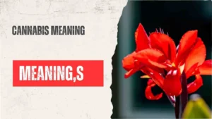 Cannabis Meaning